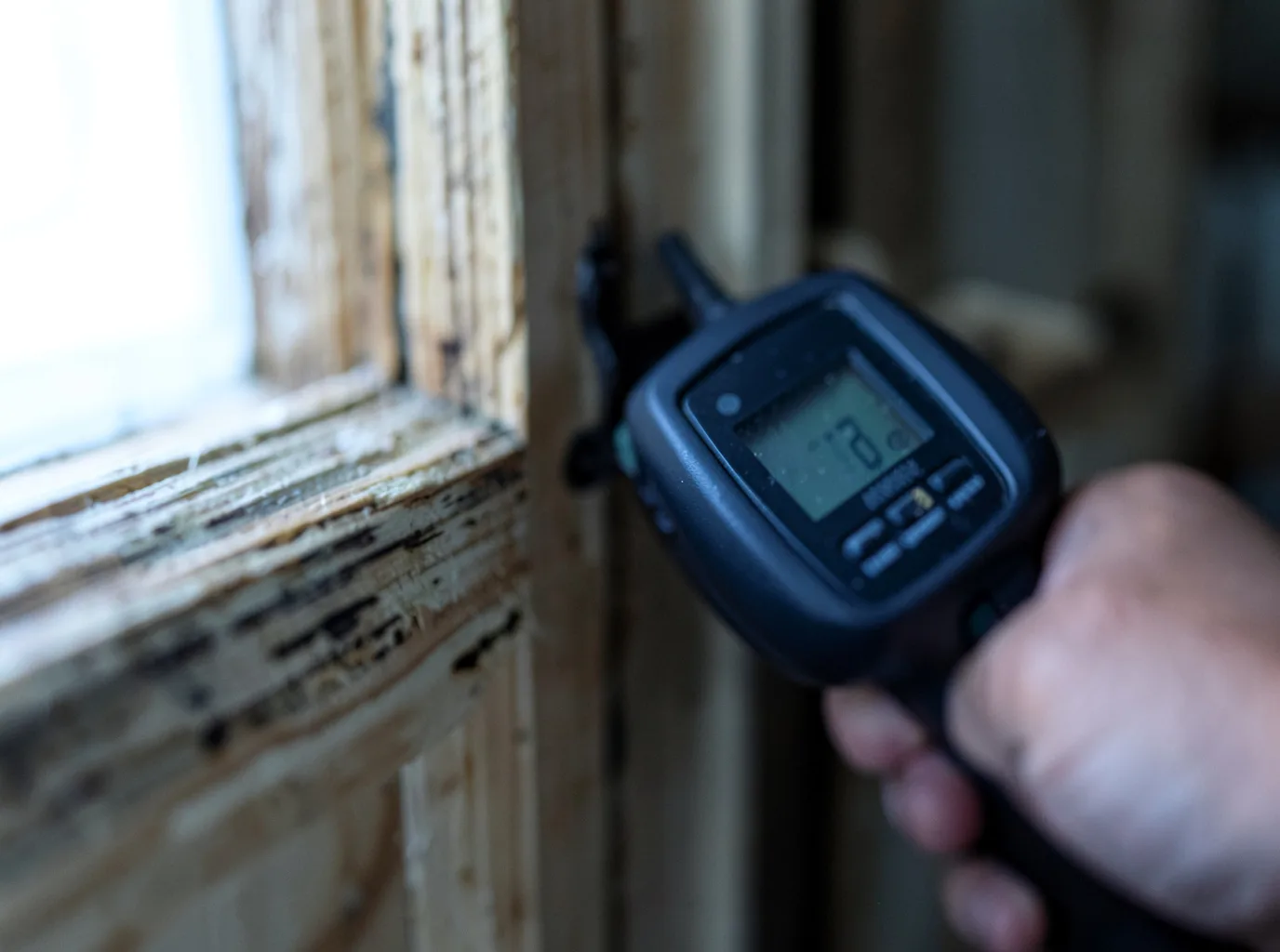 Moisture Inspection And Documentation in Gerber, CA